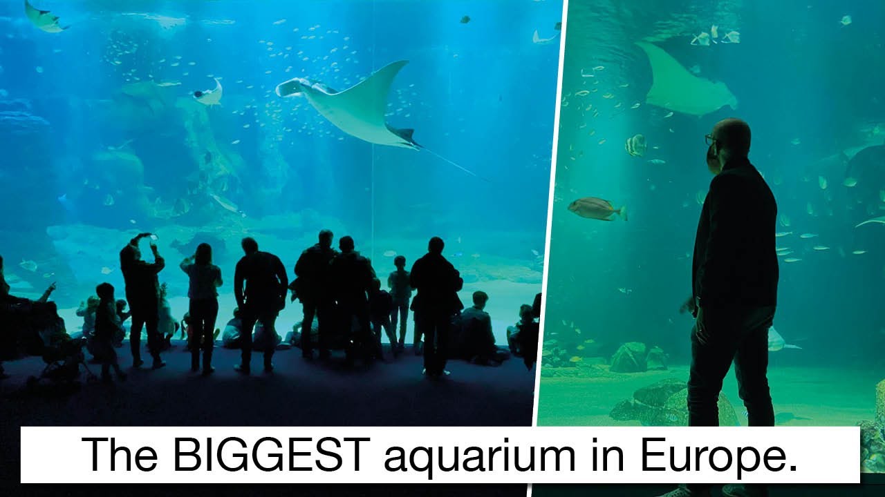 The biggest Aquarium in Europe - Hair Buddha Travels
