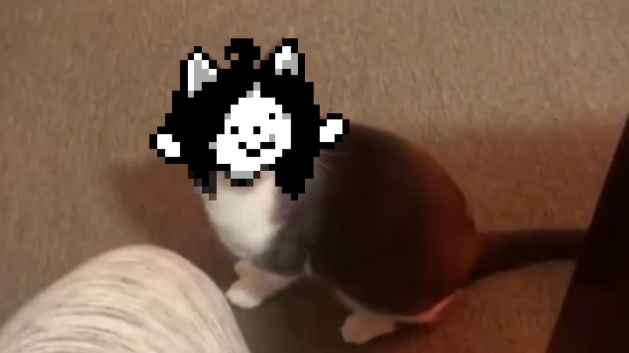 Undertale/Deltarune Humor 21