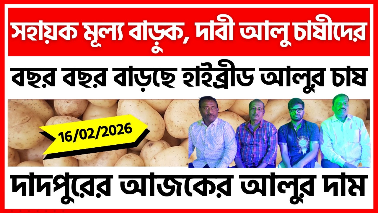 16/02/2026 : দাদপুরের আজকের নতুন আলুর দাম | New Potato Price in Dadpur - India Potato News