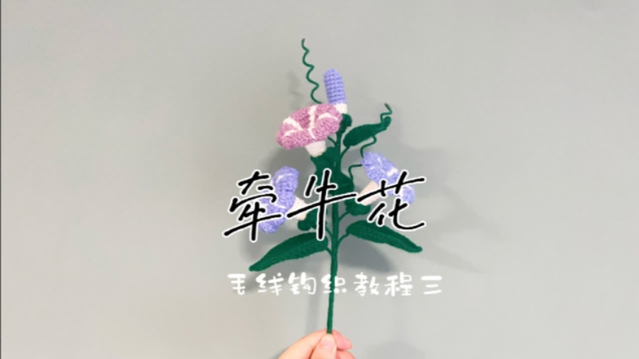 毛线钩织｜花束系列｜牵牛花 钩织教程三