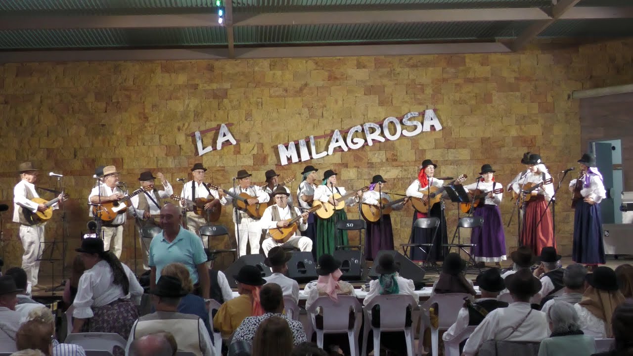 2-PARRANDA  LOS GORETES DE LOURDES-TAIFA DE LA MILAGROSA-29-11-2024