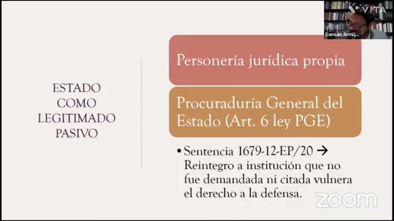 Acción de Protección y Medidas Cautelares, particularidades de cada garantía.