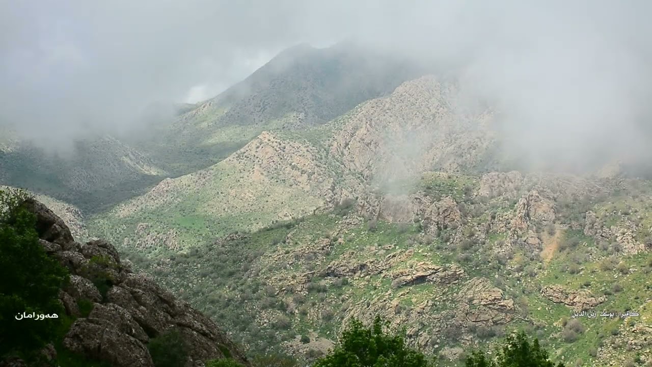 مینا گیان ، مامۆسا عوسمان و مامۆسا حەمەحسین هەورامی 