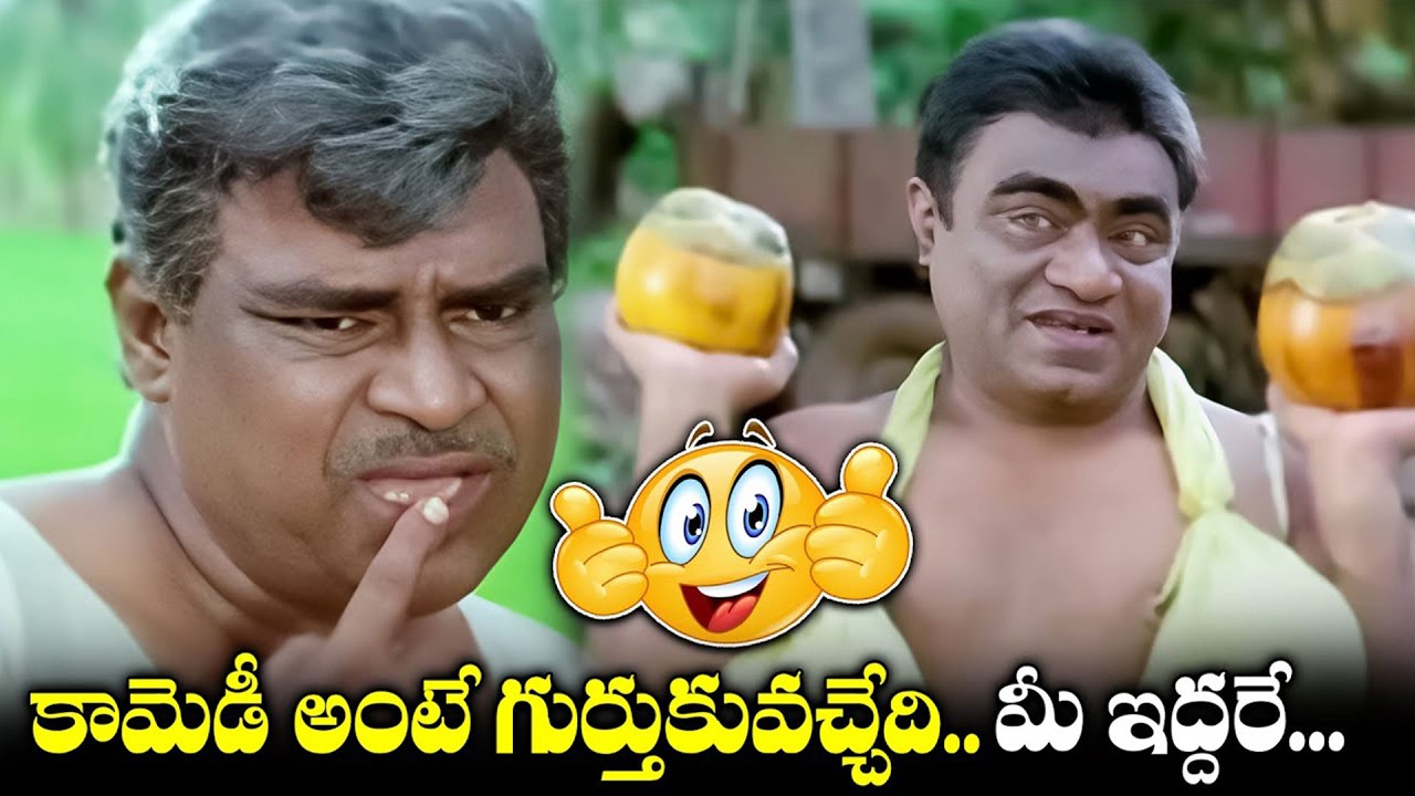 కామెడీ అంటే గుర్తుకువచ్చేది..మీ ఇద్దరే... |  Kota Srinivasa Rao & Babu Mohan Ultimate Comedy