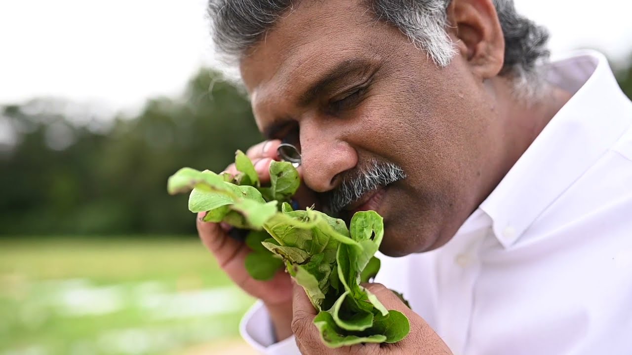Keynote speaker Dr Mathews Paret- Diseases in watermelon