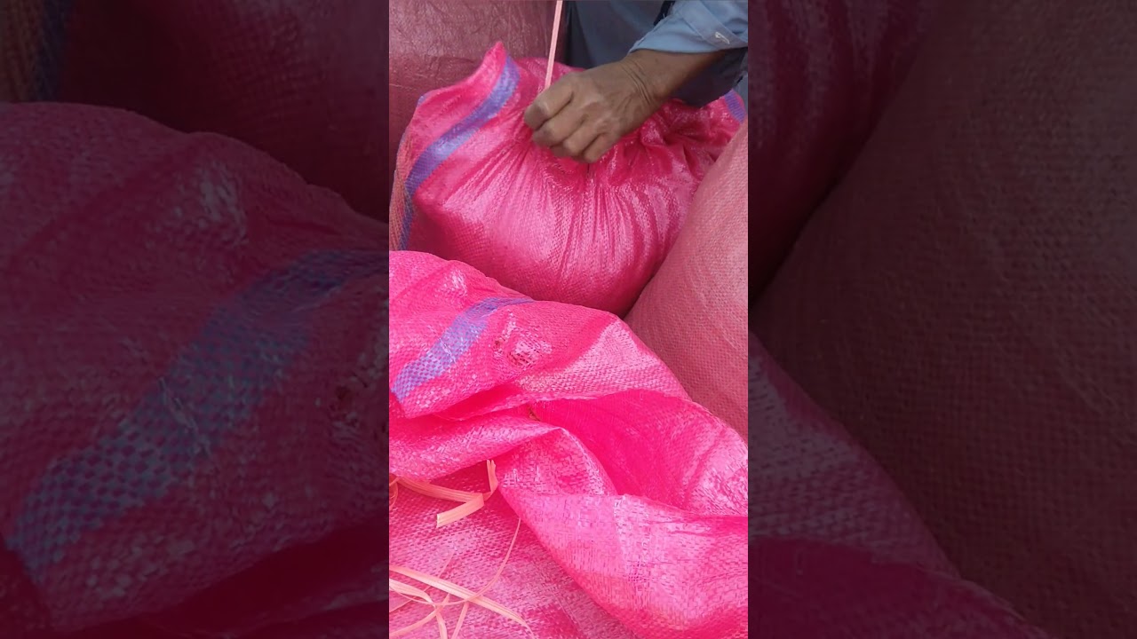 How to Close a Filled Rice Bag with a Needle and Rope | Easy Manual Packing Tutorial