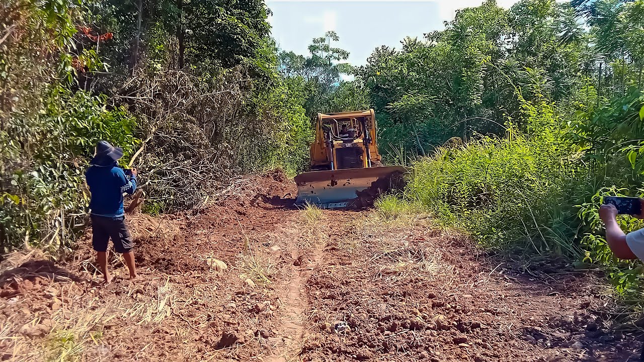 Amazing! CAT D6R XL Bulldozer Operator pushing all the forests to make way for plantations