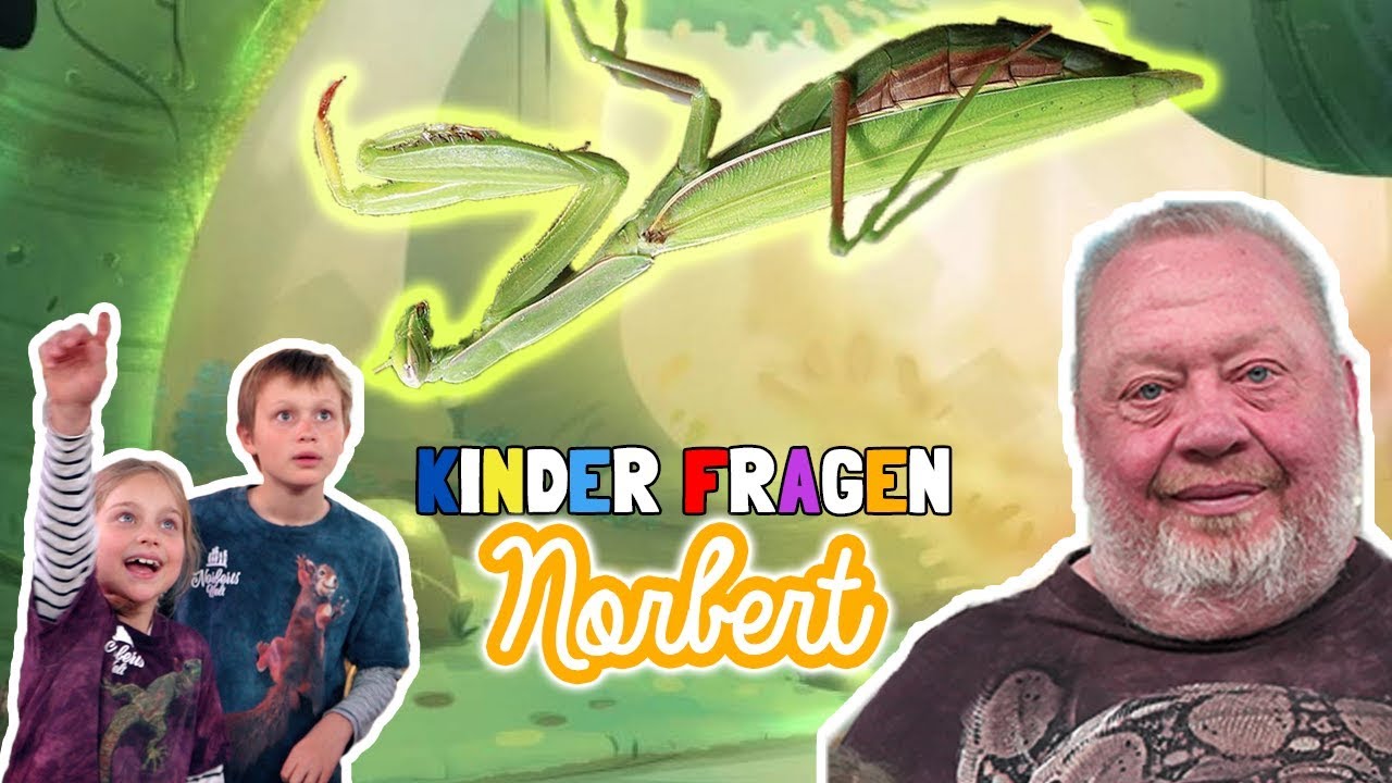 Kinder fragen Norbert I GOTTESANBETERIN I NORBERTS WELT | Zoo Zajac