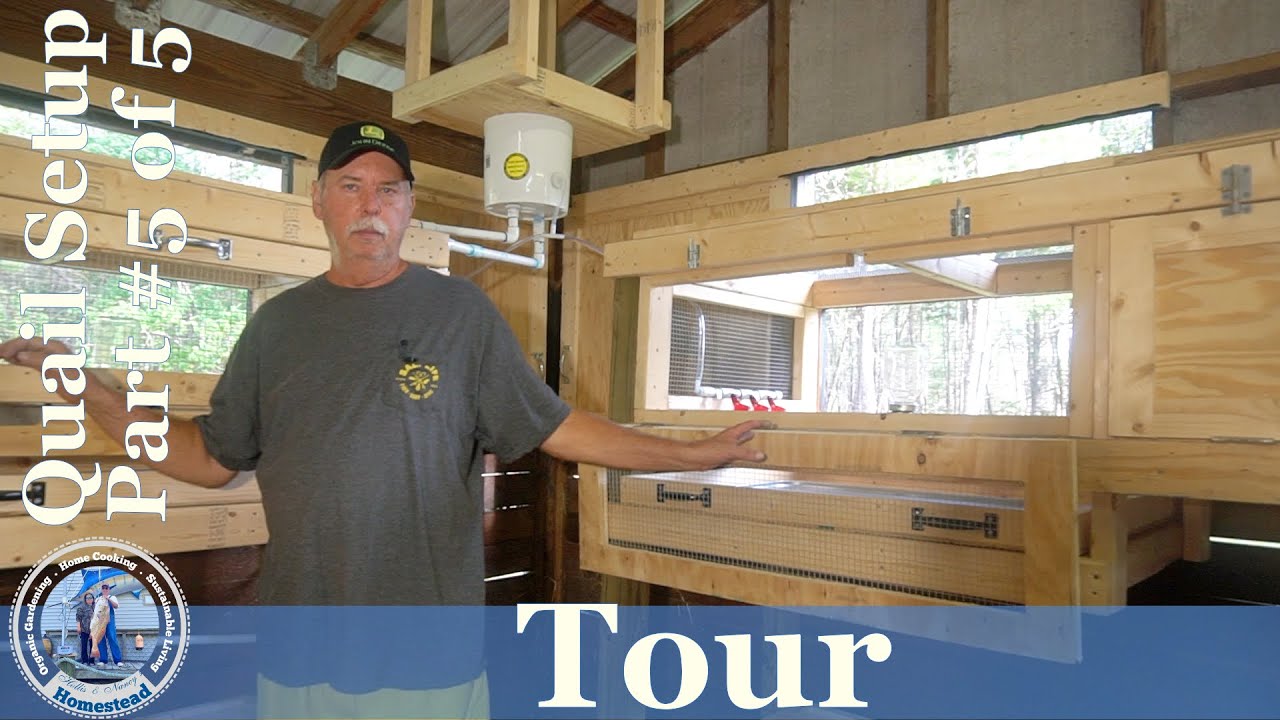 Quail Setup (#5 of 5) Tour