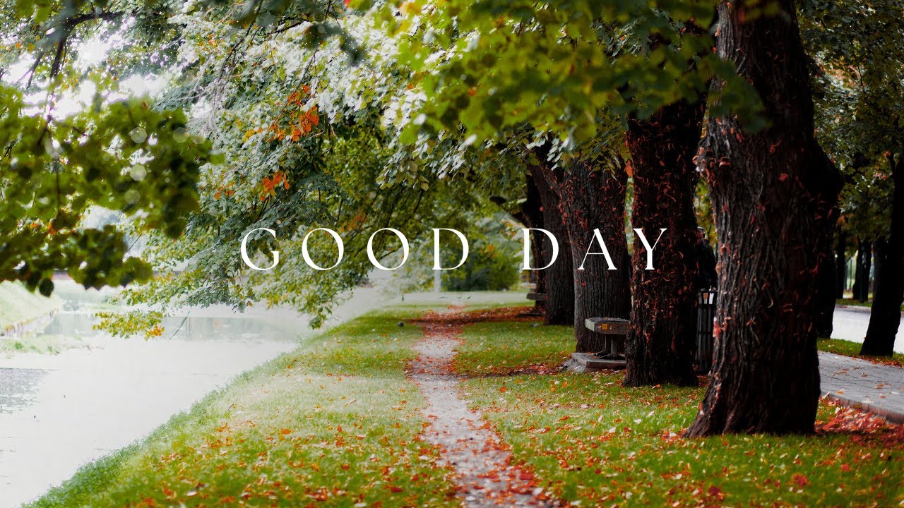 Relaxing Guitar & Piano with Gentle Rain for Serenity