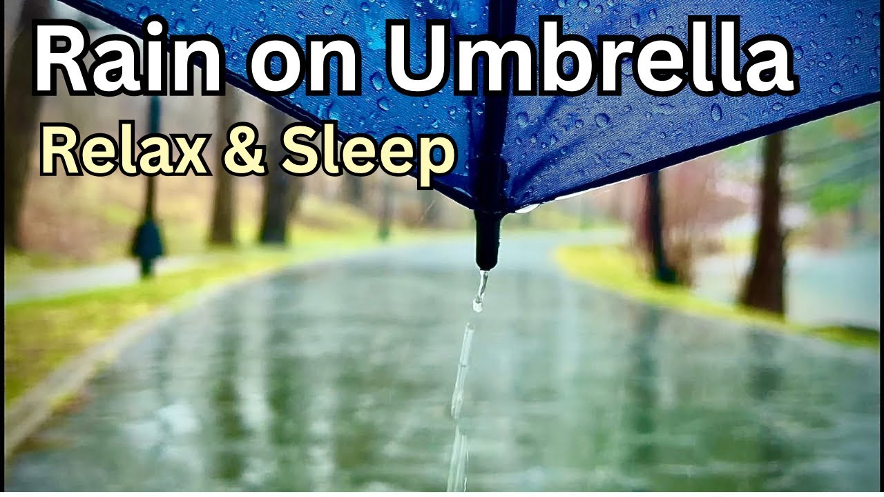 Rain on Umbrella 🌧️ 10 Hour Relaxing Rain Sounds for Sleep, Study & Deep Relaxation