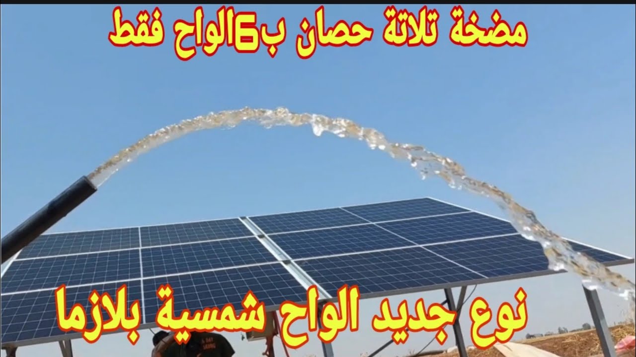 6  الواح فقط مضخة تلاتة حصان بالطاقةالشمسية نوع جديد الواح شمسية بلازما 645watt