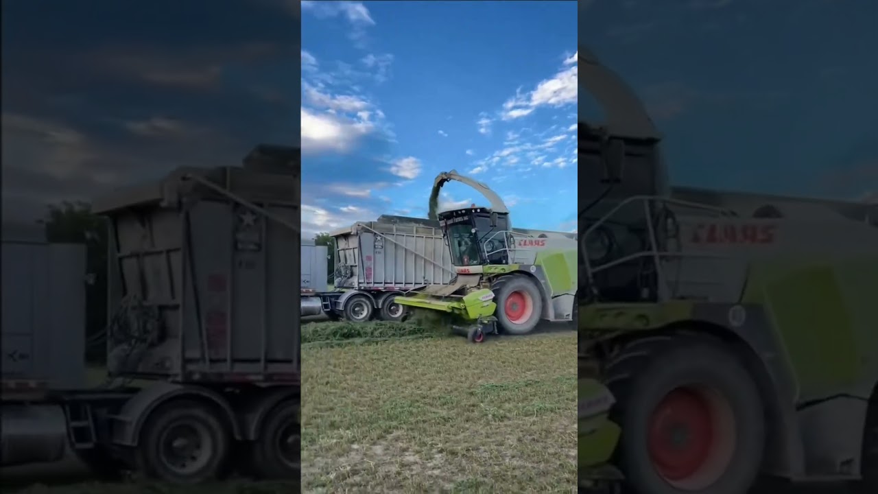 EVERYTHING IS GOING ACCORDING TO PLAN 😂 #agriculture #tractor #farming #agro #harvest