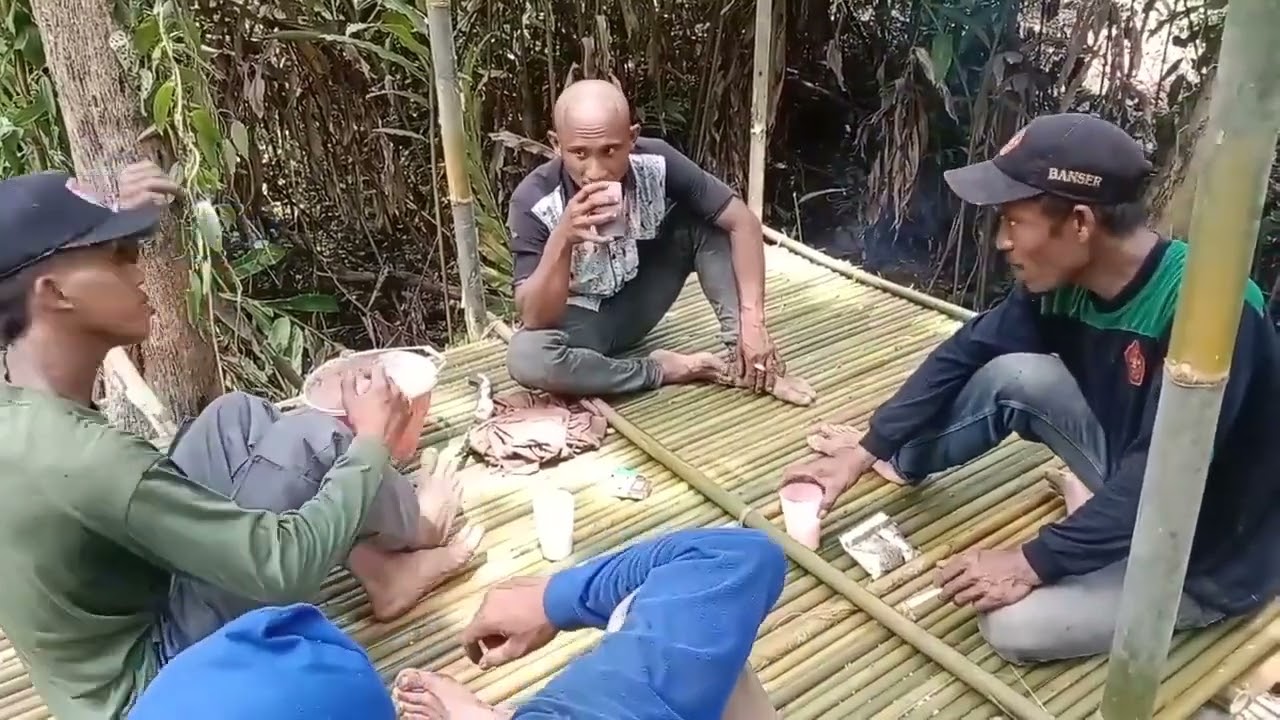 Berkemah ditengah hutan belantara membangun shelter sederhana tidur nyenyak semalaman menikmati alam
