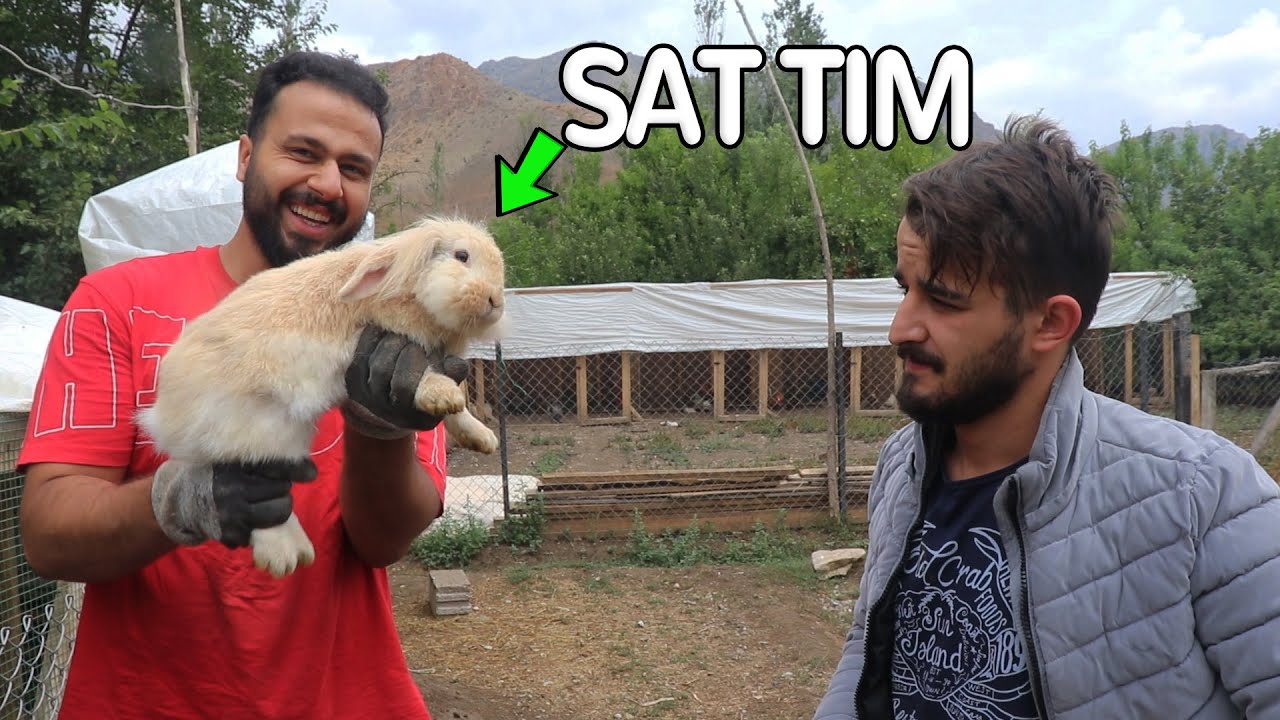 Arkadaşıma Tavşan Sattım !