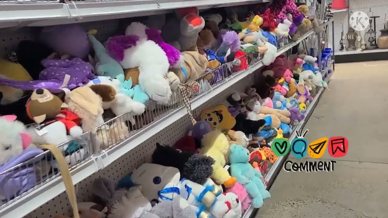 Goodwill & Michaels come search for beanie boos with us!! 😃😃😃
