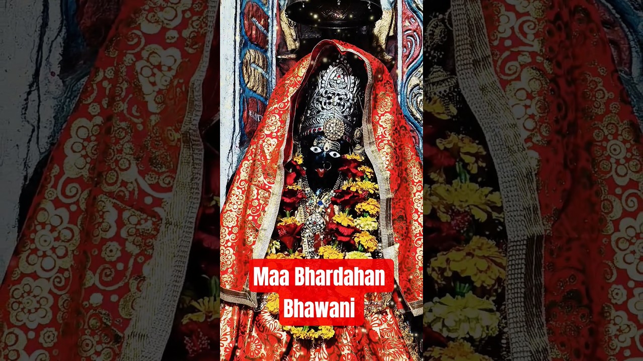 🌺आदिशक्ति दिव्य दर्शन 🔱।Maa Bhardahan Bhawani। Divine Darshan।