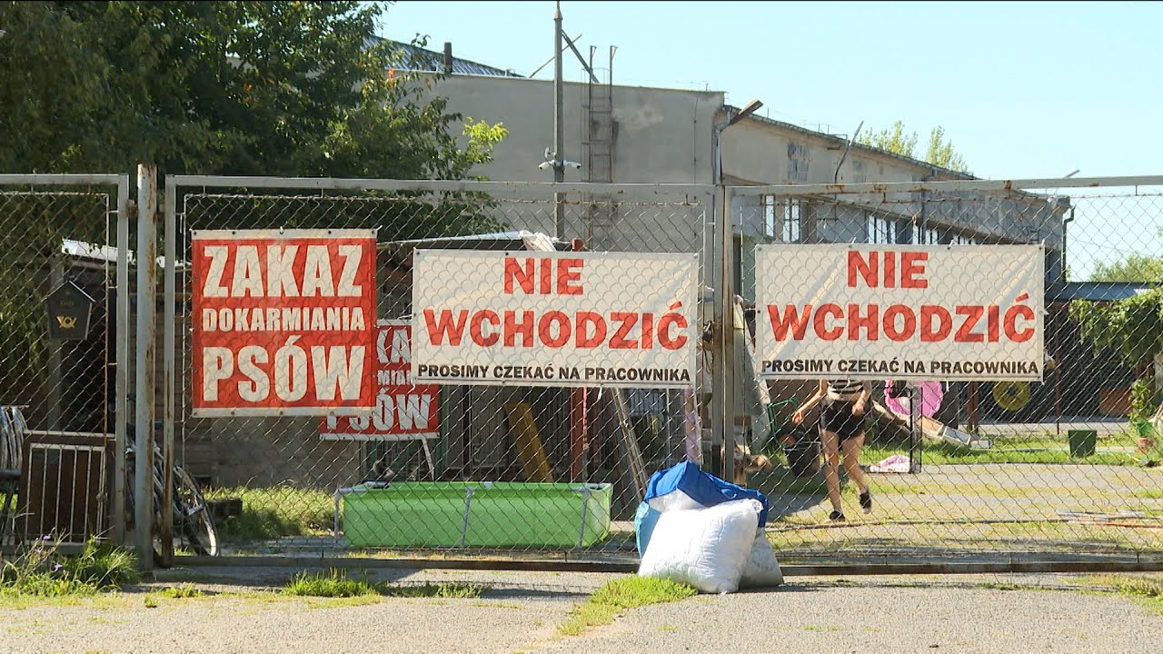 Międzygminna inicjatywa. Czy powstanie wspólne schronisko dla zwierząt?