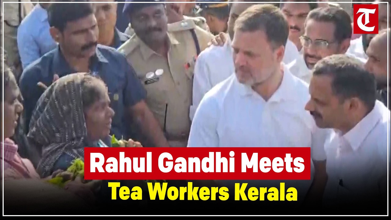 Rahul Gandhi Visits Kuttikkanam Tea Plantation, Meets Workers & Students in Kerala