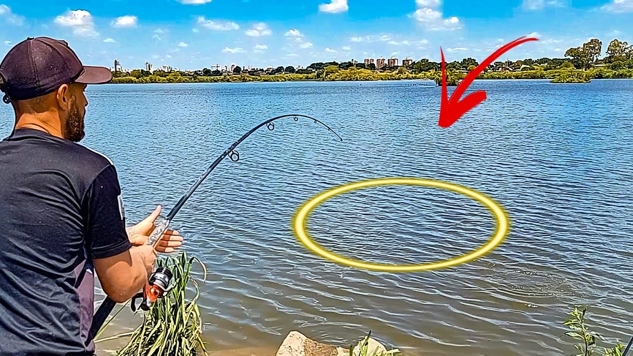 PESCA y COCINA en la TOSQUERA  / esta Carpa le rompió el Reel a mí amigo..