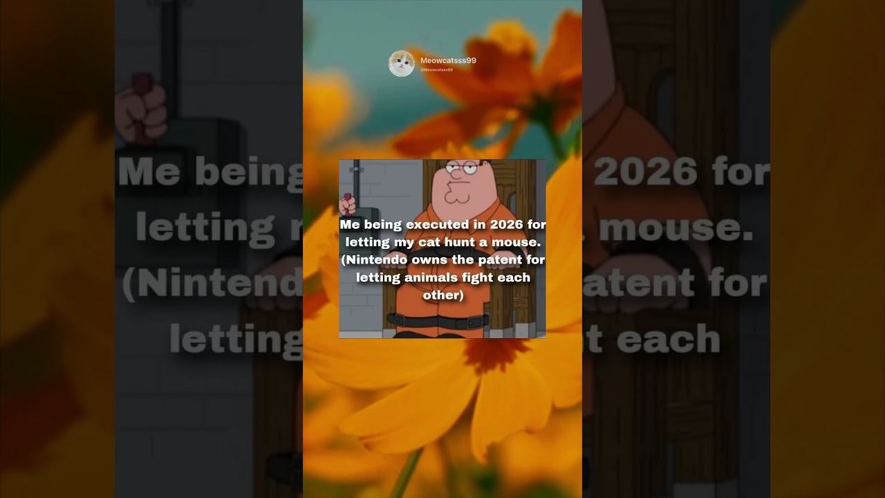 Me being cancelled in 2026 for letting my cat hunt a mouse. (Nintendo owns the patent for letting
