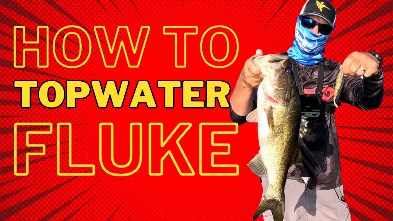 Mastering The Fluke: Topwater Bass Fishing Tips