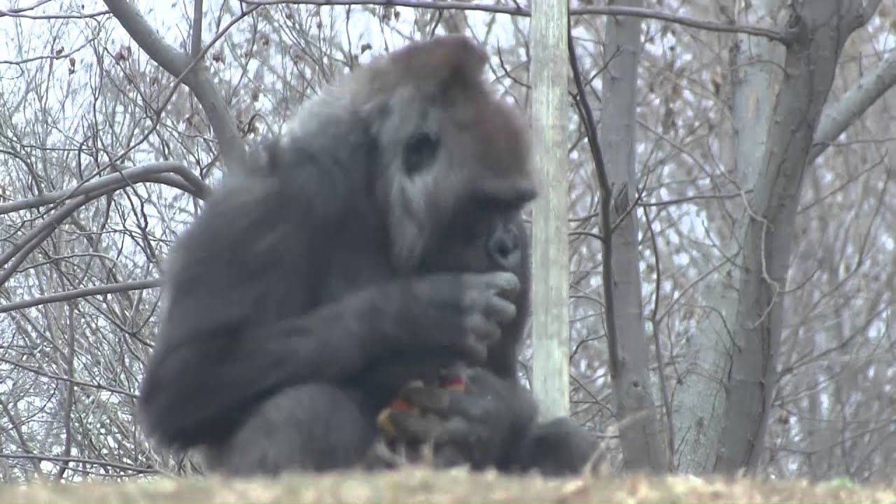 Oklahoma City Zoo 2012