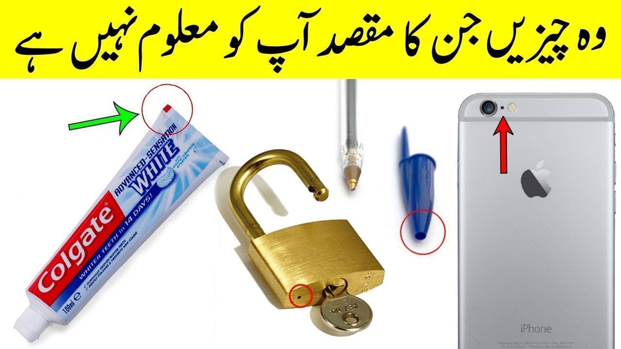 10 Amazing Facts | Interesting Facts| Informative videos | Mr Informative