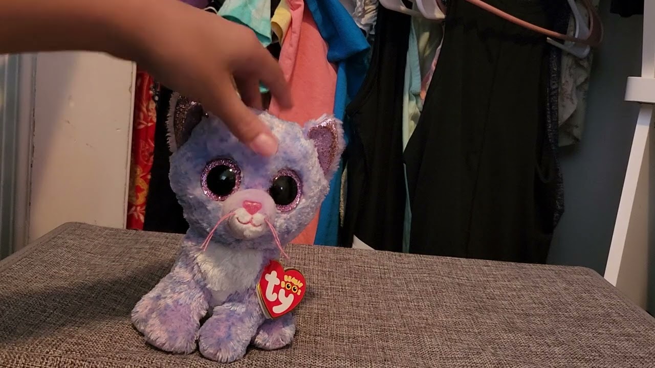 My Beanie Boo Collection!