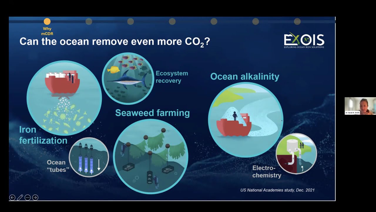 A Closer Look at Ocean Iron Fertilization