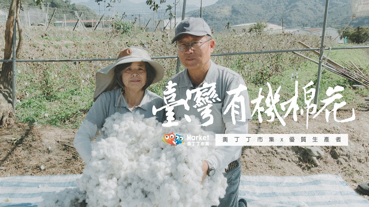 台灣有機棉花的復育員｜產地直擊feat.台灣有機棉｜十年堅持賦予台灣棉花新生命【奧丁丁市集】