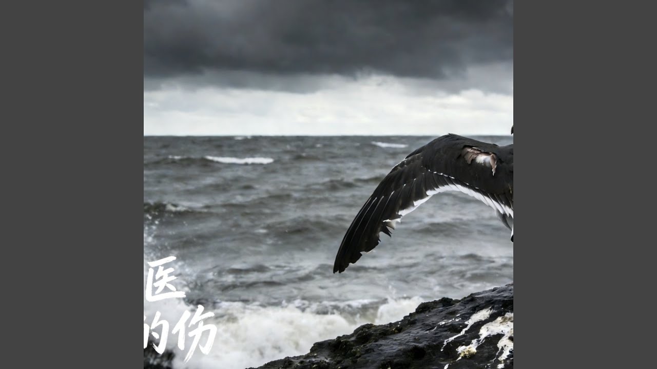 我带着医不好的伤