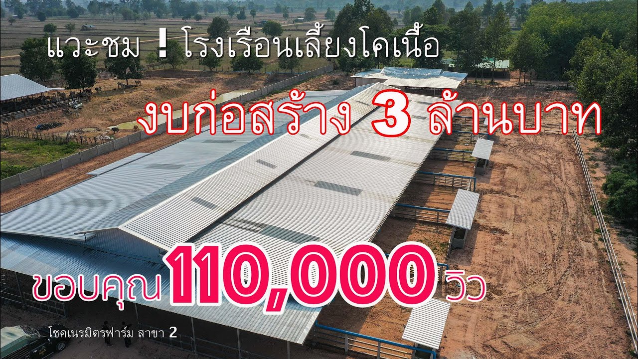 โรงเรือนเลี้ยงวัว ✔️งบก่อสร้าง 3 ล้าน💰[โชคเนรมิตรฟาร์ม สาขา 2]