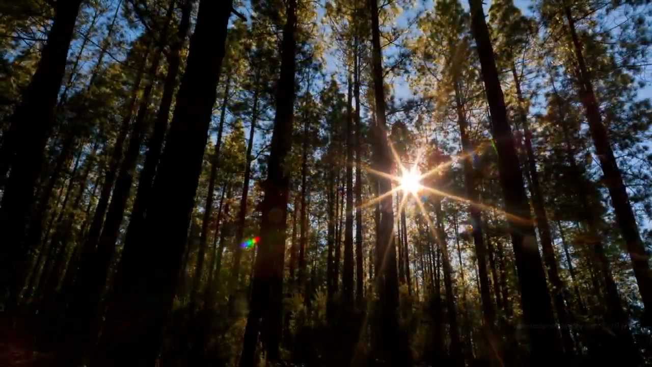Ludovico Einaudi - The Mountain (Official Visualiser)