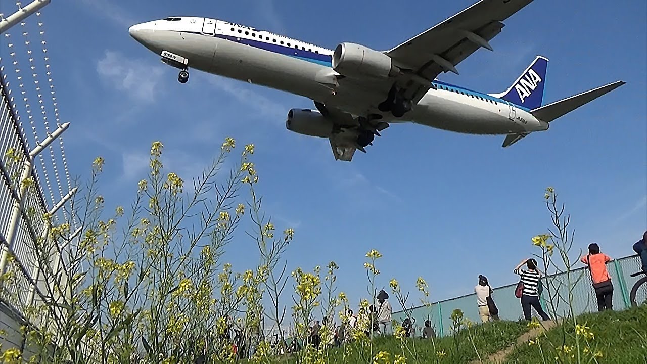 飛行機に肉薄、大興奮の聖地「千里川土手」