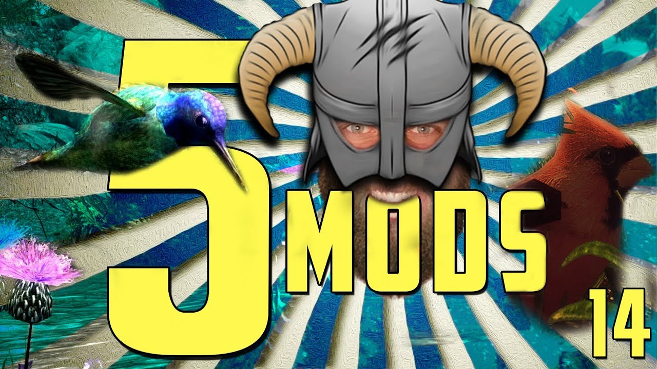 🐉 5 MODS for THE BIRDS! | Skyrim SE