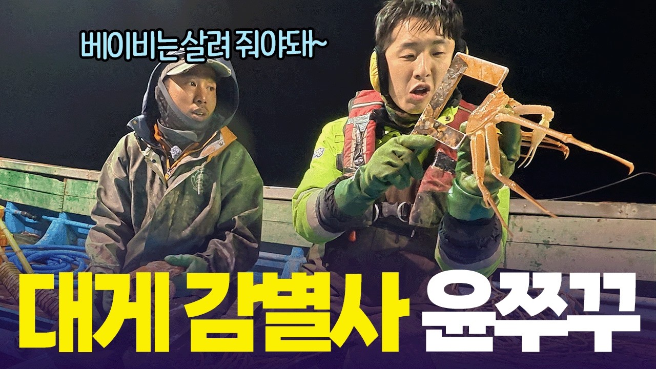 그물채 쏟아진다 오늘도 풍년! 🦀 대게 400마리 감별에 나선 윤쭈꾸 [6시 내고향] | KBS 260218 방송