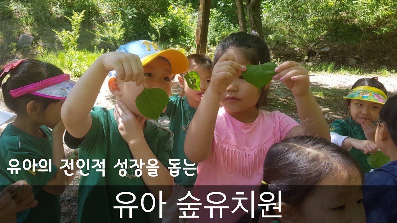 산림청 산림교육, 얼마나 알고 계시나요?