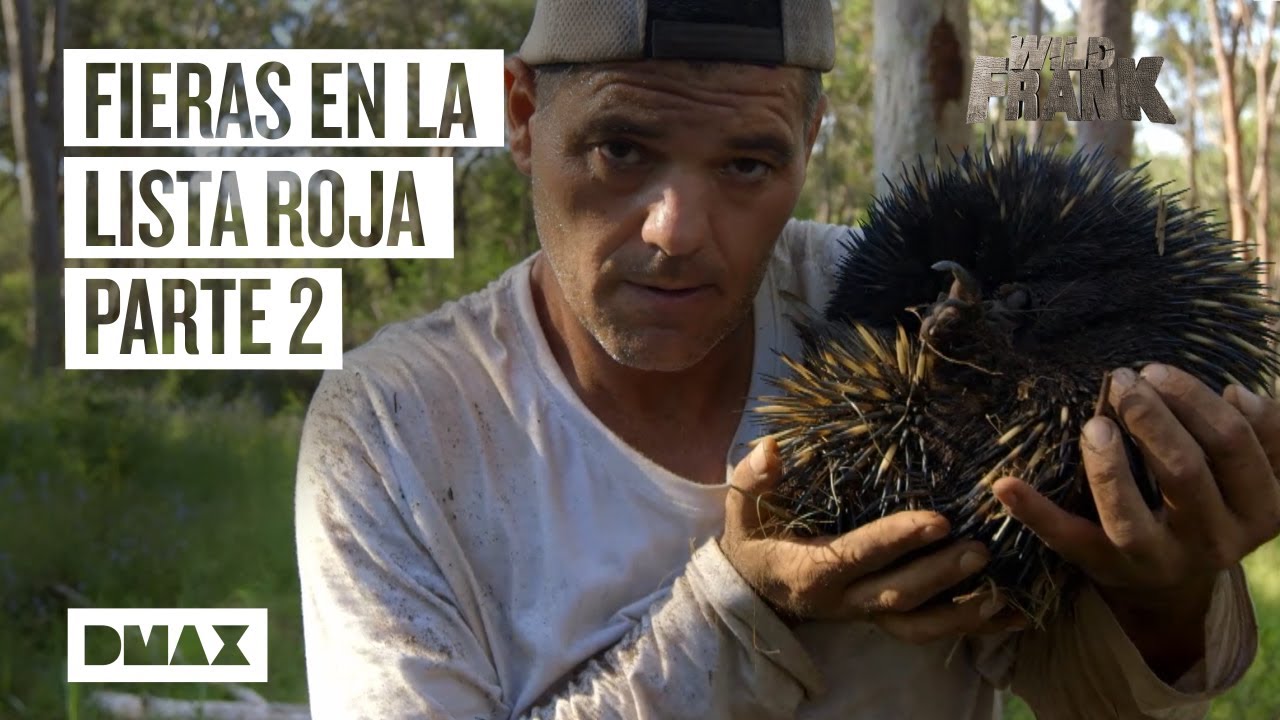 Wild Frank y 3 animales en peligro por la acción del hombre | Parte II | Wild Frank