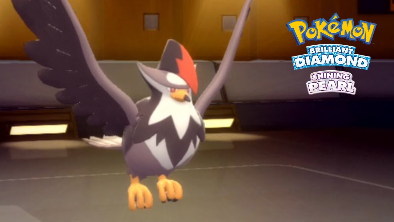 RECKLESS STARAPTOR IS POWERFUL! Pokemon Brilliant Diamond & Shining Pearl Wi-Fi Battle!