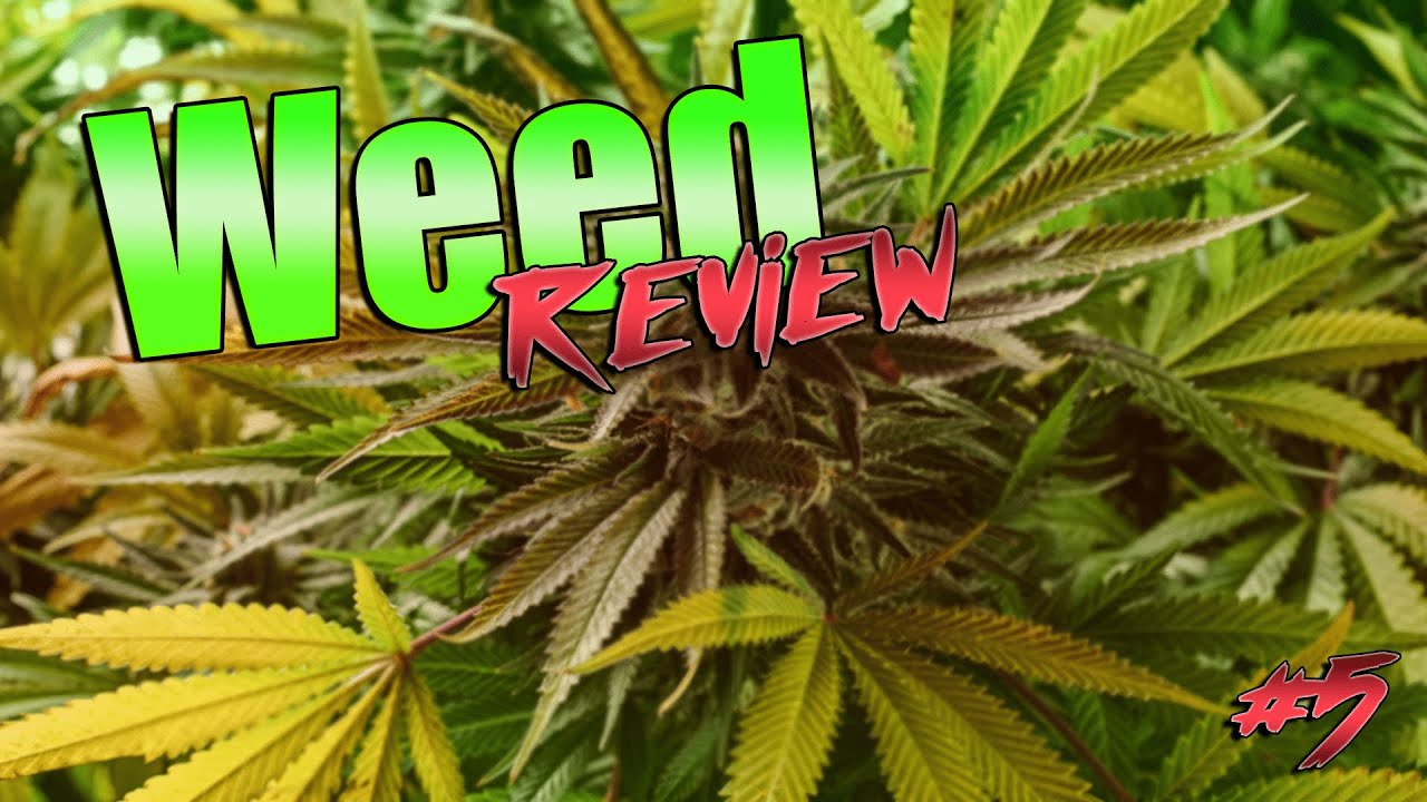 Weed Review #5 Magic Melon