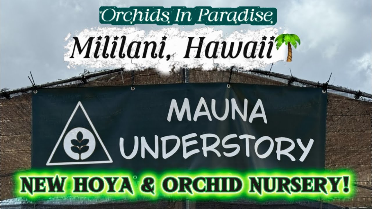 New Hoya & Orchid Nursery in Mililani, Hawaii 🌴