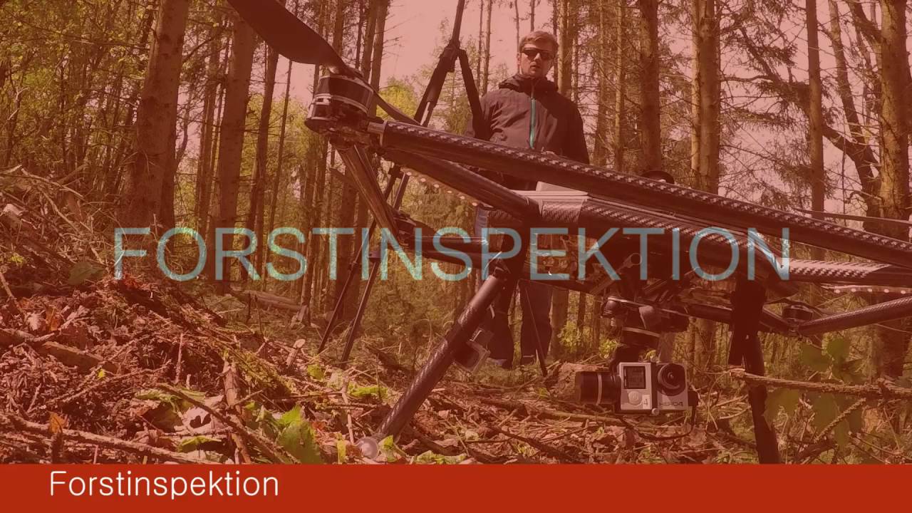 Flugroboter in der Praxis / Practical Experience with UAVs