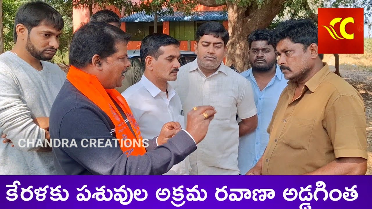 పశువులను అక్రమంగా కేరళకు రవాణా చేస్తుంటే Palamaneru Hindu communities stop illegal cattle smuggling