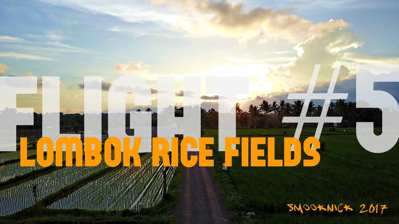 Flight # 5 Lombok Rice Fields (dji mavic pro footage)