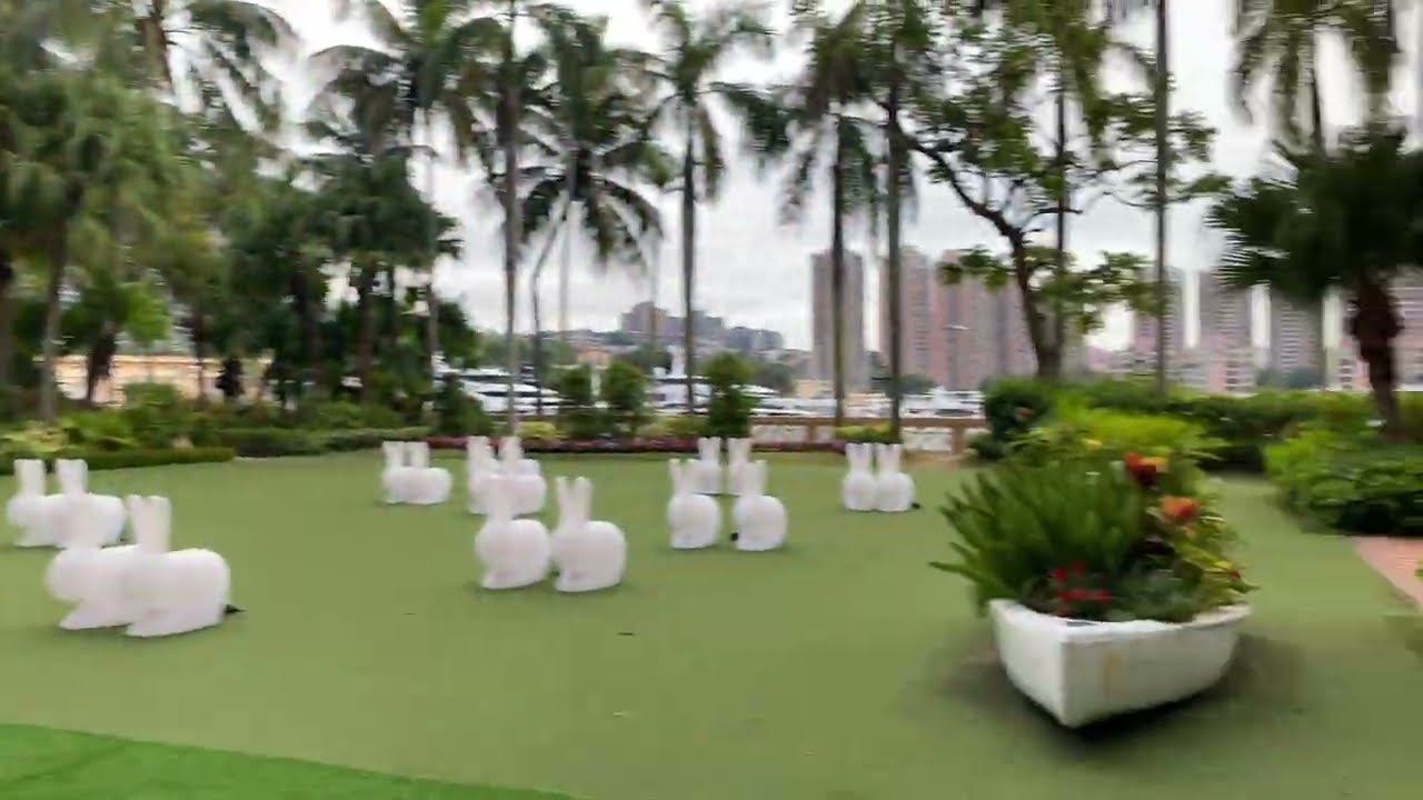 Gold Coast Hotel Hong Kong: Hotel Tour 2024 #travel #reels #trending