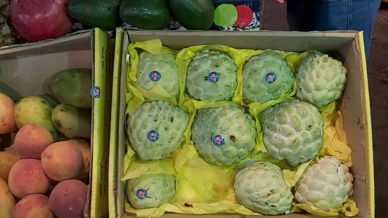 Dahar Gem&uuml;semarkt und Orientalischer Markt | #&Auml;gyptenVlogFamilie