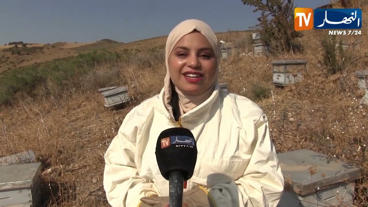 قسنطينة: آية تقتحم مجال تربية النحل وتحول شغفها إلى مشروع ناجح