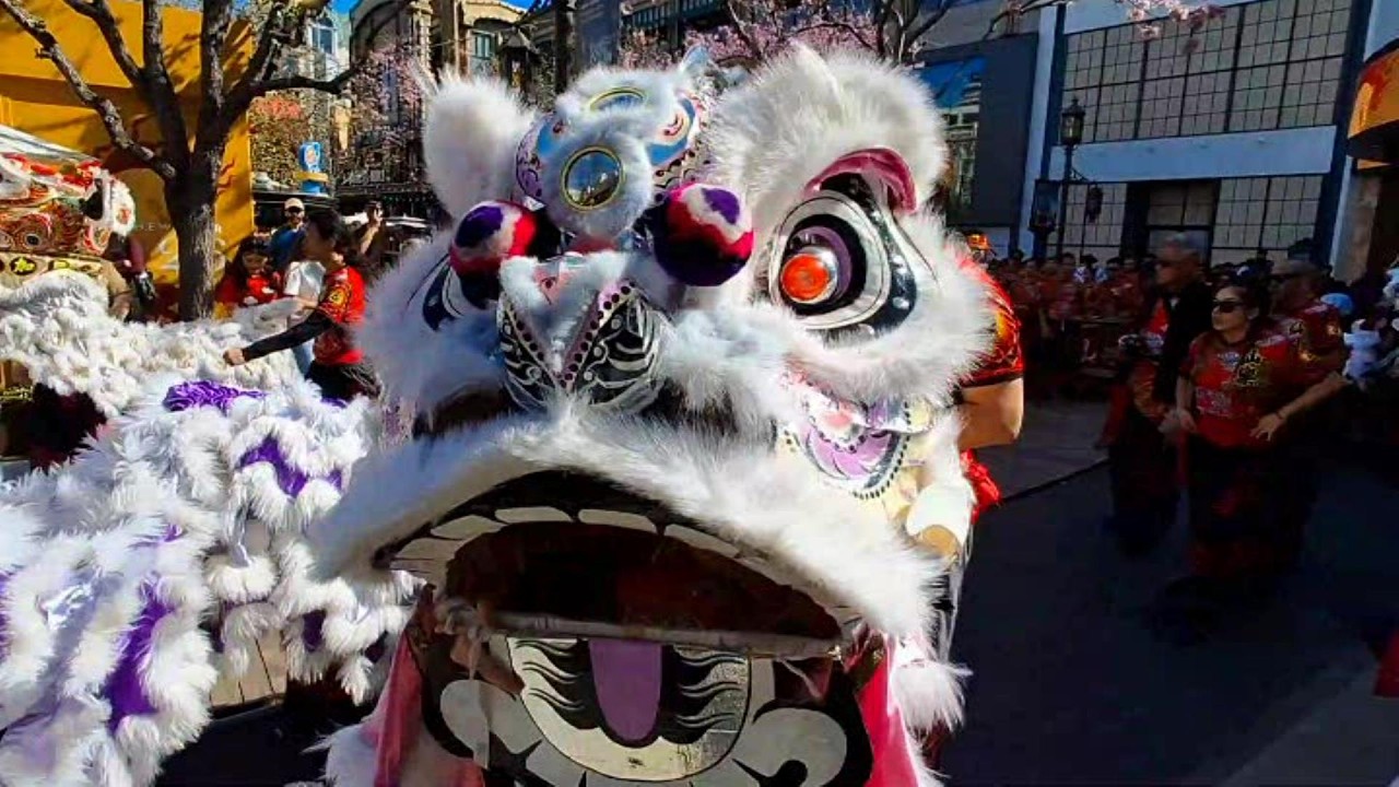 Celebrating Lunar New Year 2026