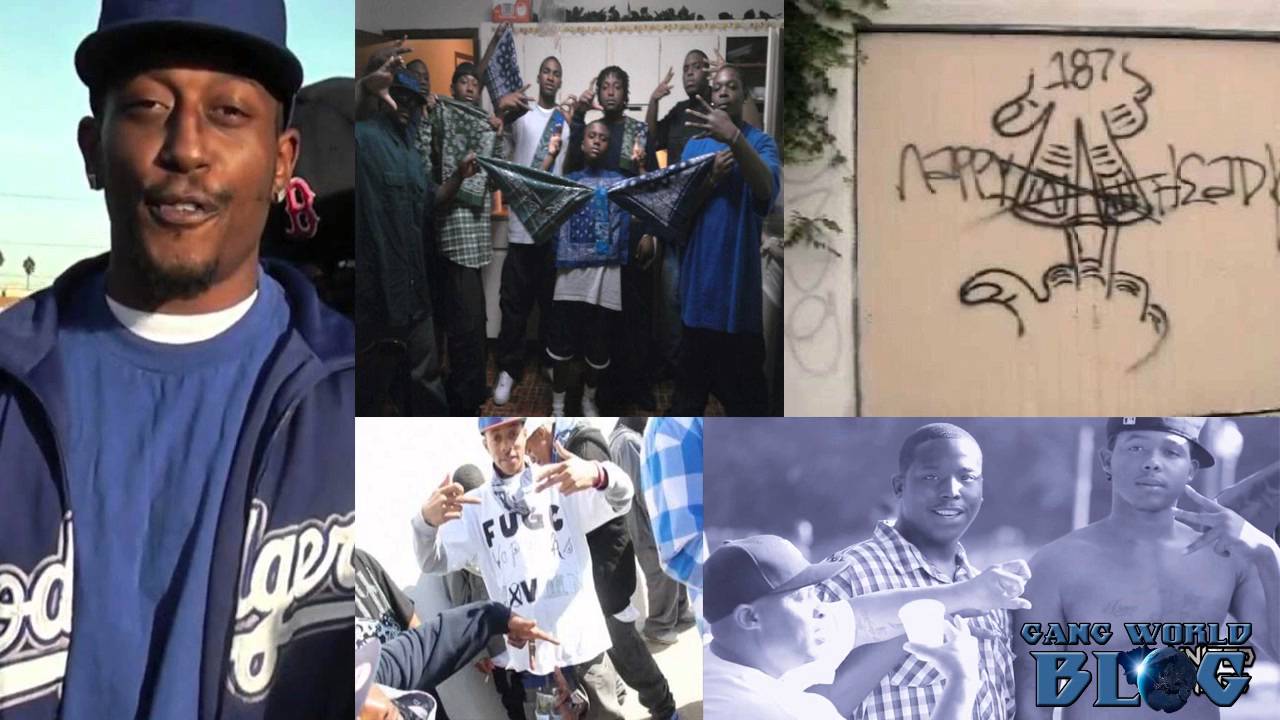 Gangster Crip 3x Moovin Gang Trays Gang Alliance History